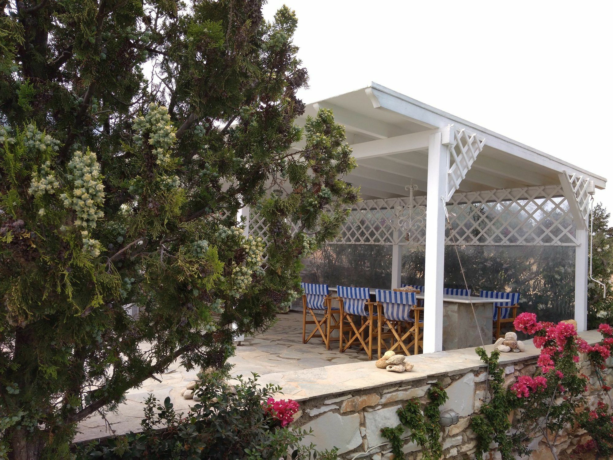 דריוס Dryades Family Hotel מראה חיצוני תמונה